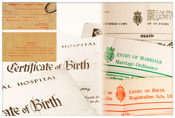 what you will need what you will need